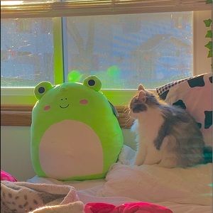 Meet your Posher, Hailie